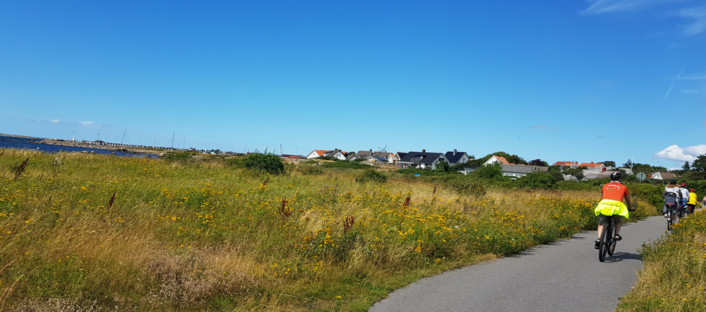 Slingrande cyelvägar vid havet